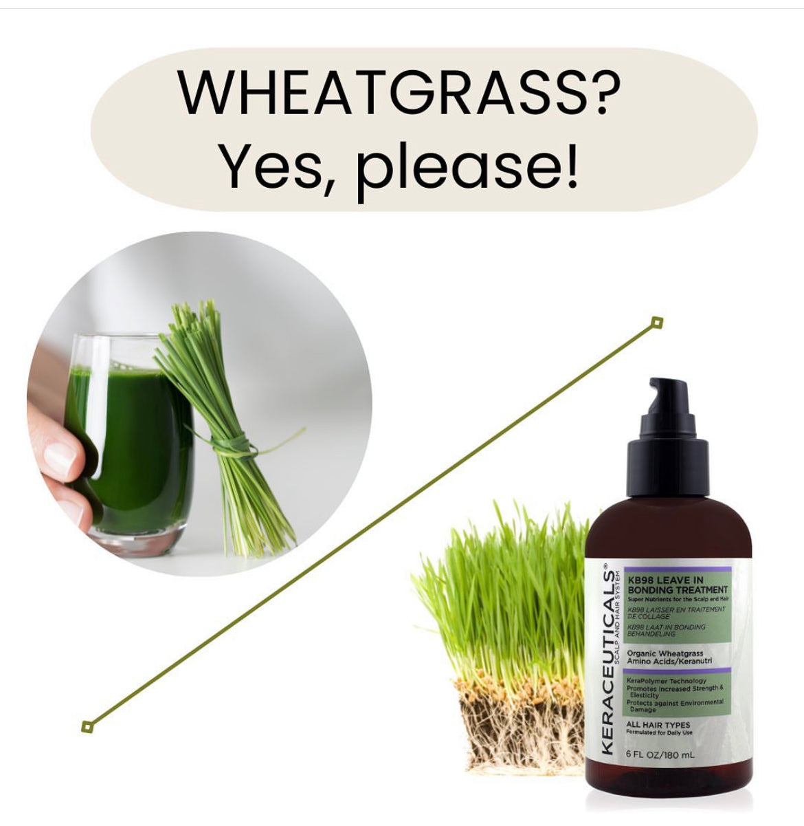 Strengthening Shampoo