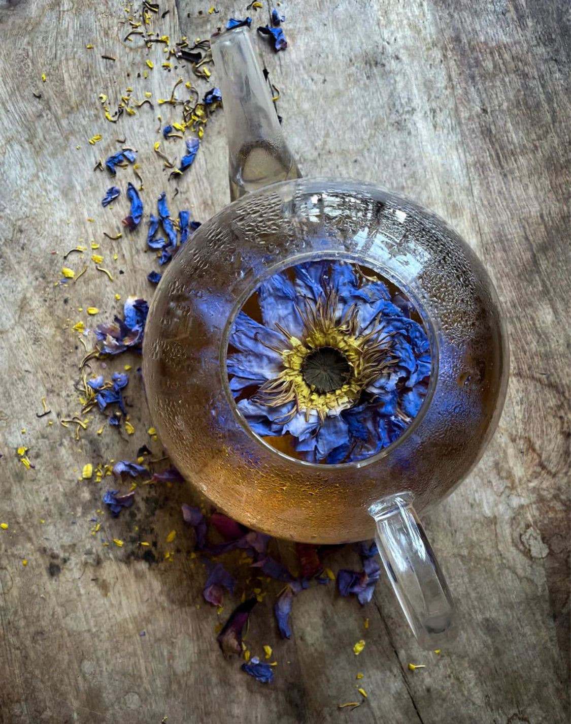 Blue Lotus Whole Dried Flowers