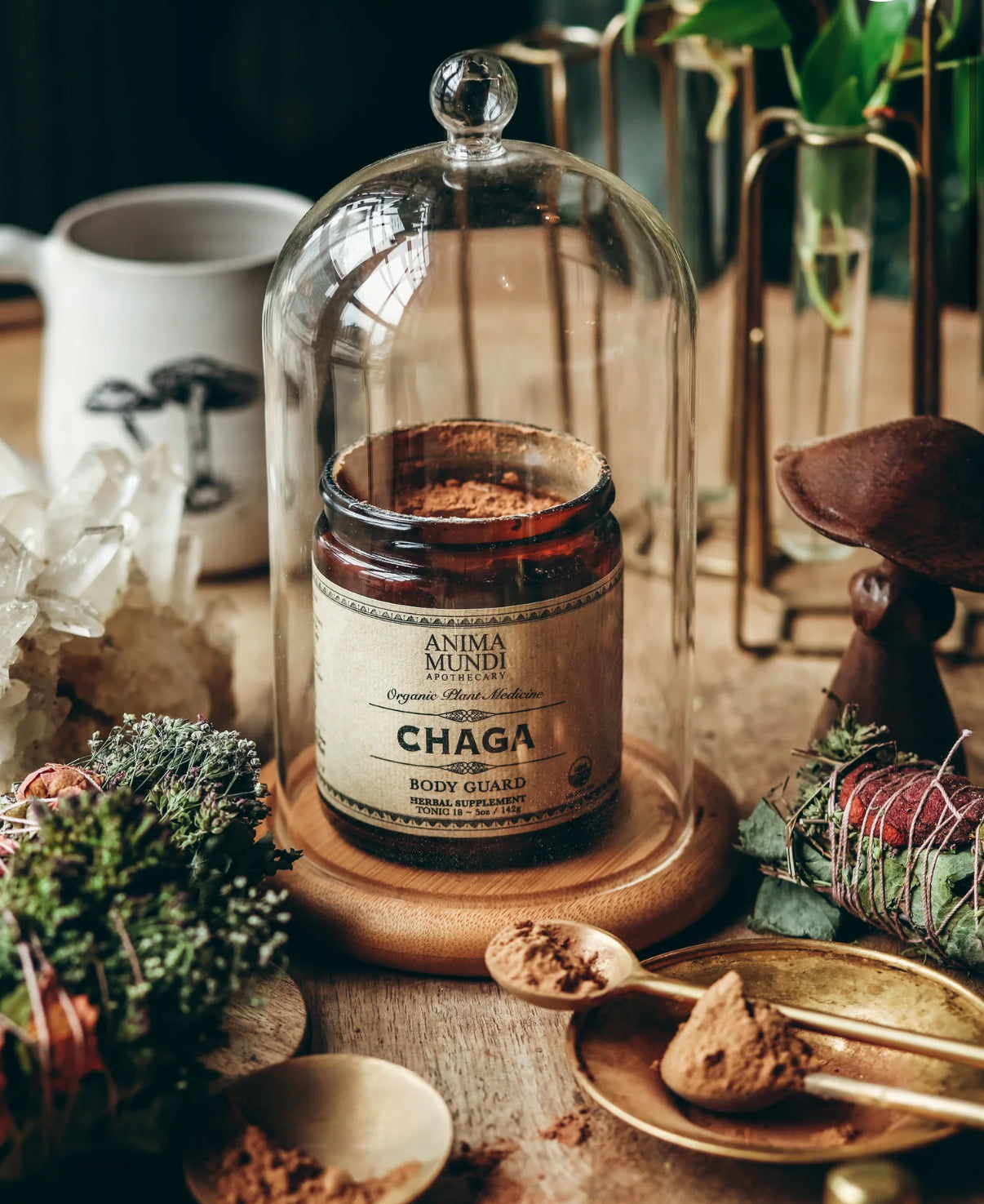 CHAGA | Organic Mushroom Powder, Body Guard*