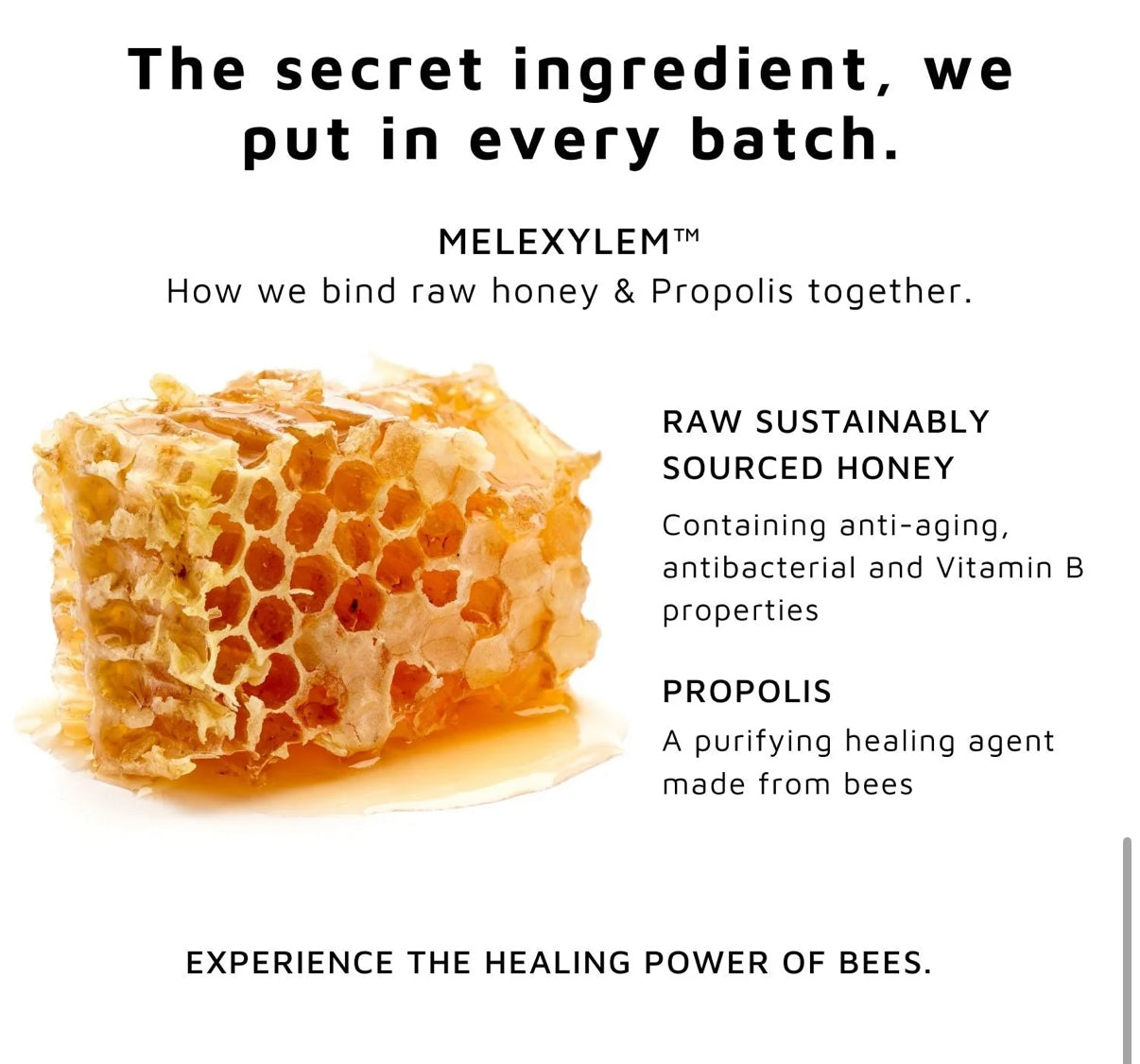 Sweet Bee Magic™ - Organic Foot and Heel Balm