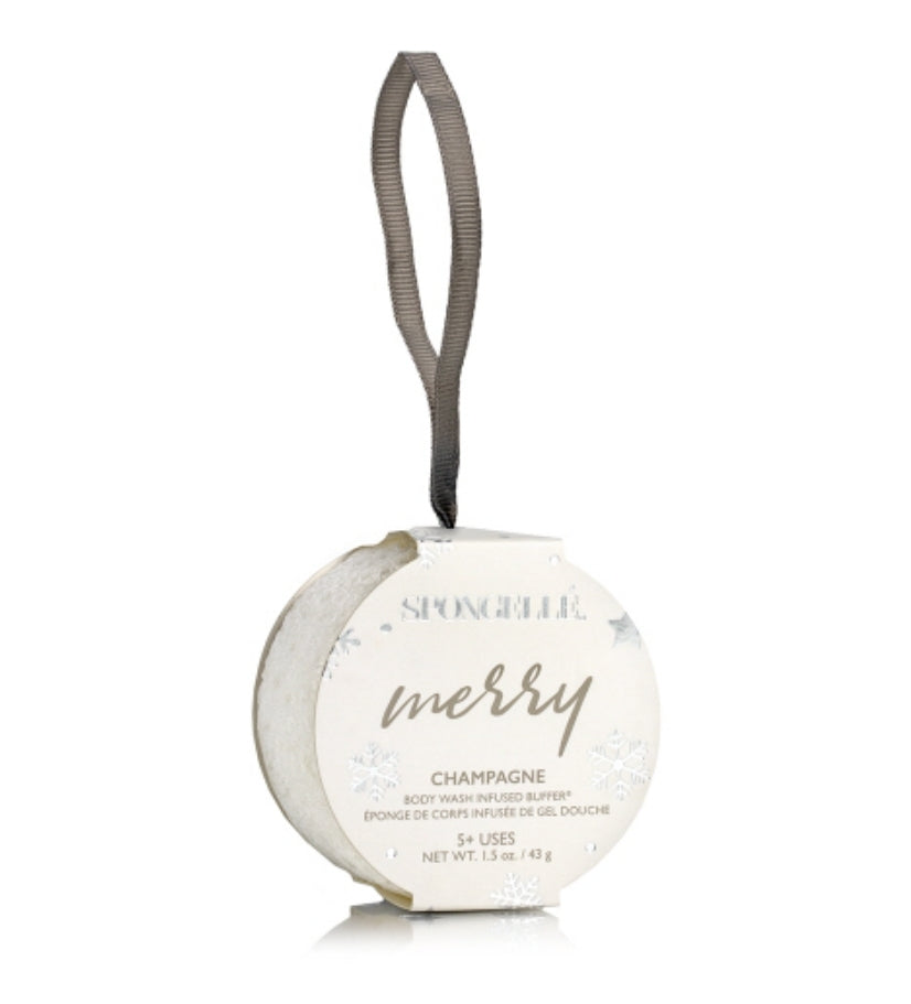 Holiday Cheer Holiday Ornament Gift Set