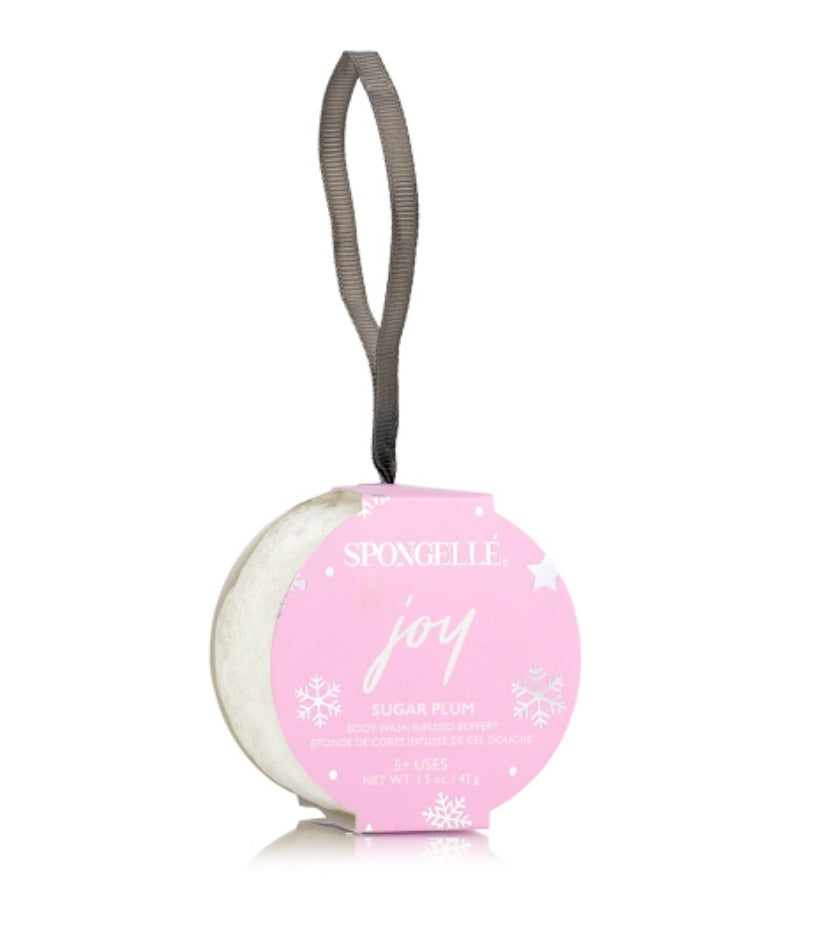 Holiday Cheer Holiday Ornament Gift Set