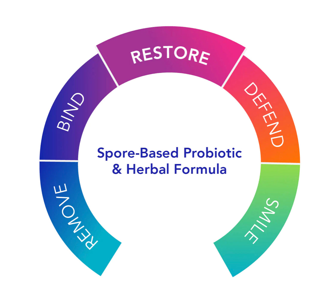 Proflora4R Restorative Probiotic Combination